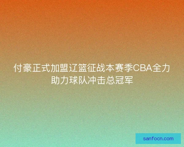 付豪正式加盟辽篮征战本赛季CBA全力助力球队冲击总冠军